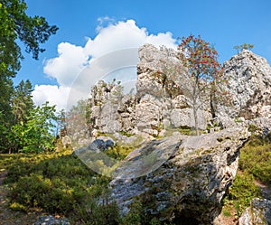 Rocky quartz formation, tourist destination geotope Grosser Pfahl, near Viechtach lower bavaria