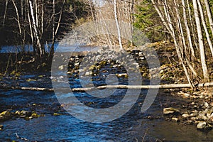 Rocky river in the forest. flowing water