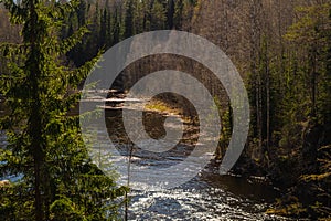 Rocky river in the forest. flowing water