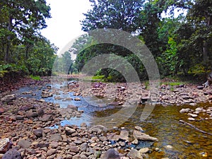 Rocky River and Forest Landscape photo