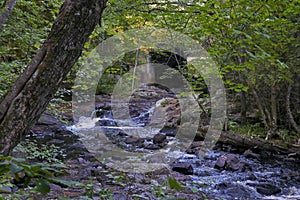 Rocky river streaming through a tunnel in the forest in Canada