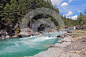 Rocky Riverbank in an Evergreen Forest