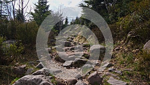 Rocky road in black forest hiking