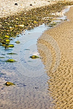 Rocky, Sandy Shoreline