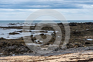 Rocky scenic beach at Ytri Tunga in Iceland