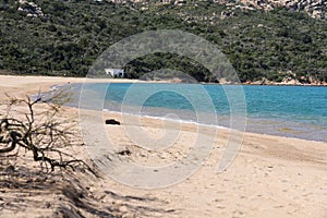 Rocky sea coast of Italy with blue sandy beach in Italy