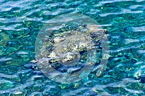 Rocky sea floor visible through crystal clear turqoise water of Aegean sea