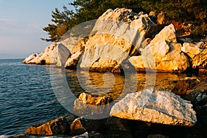 Rocky sea shore