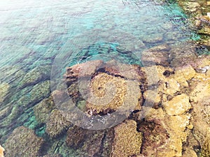 Rocky seabed with clear blue water. Lagre stones in the water. Mediterranean Sea coast near Ayia Napa, Cyprus.