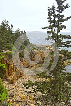 Rocky Seacoast, Acadia