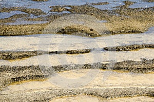 Rocky seafloor photo