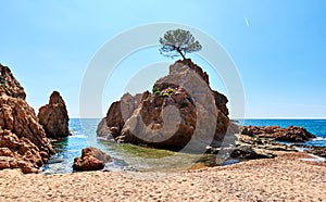 Rocky seaside of Mar Menuda Beach in Tossa de Mar. Costa Brava,