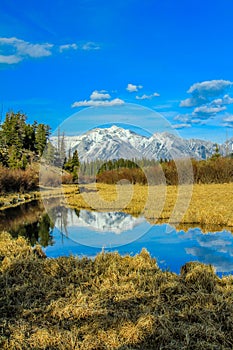 Rocky selection from Vermillion Lakes