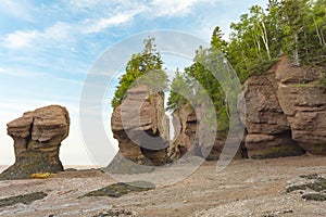 Rocky Sentinels: The Hopewell Rocks