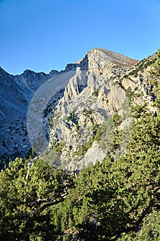 Rocky sewn in the White Mountains Lefka Ori
