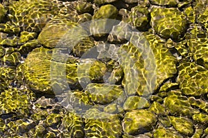 Rocky shoal in the Crimean mountain river, sunny shallow water