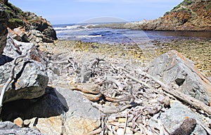 Rocky shore