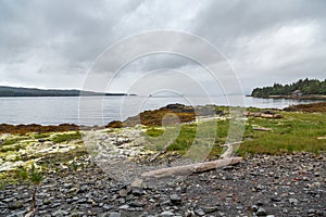 Rocky Shore in Alaska