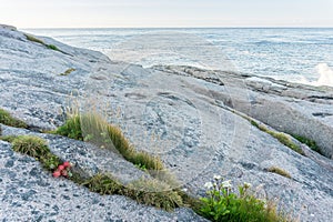 A rocky shore of the Barents Sea, island of Mageroya, Norway