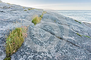A rocky shore of the Barents Sea, Mageroya island, Norway