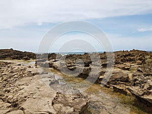 rocky shore on beach with algae in Isabela, Puerto Rico