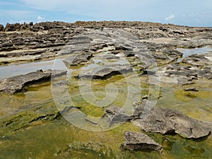 rocky shore on beach with algae in Isabela, Puerto Rico