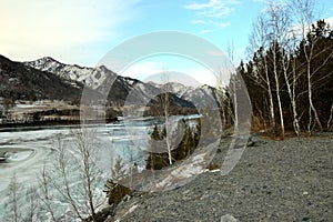 A rocky shore with a birch forest of a beautiful river flowing through a snowy mountain valley