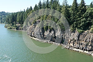 Rocky shore covered with coniferous trees, grass and bushes observed from merchant container ship.