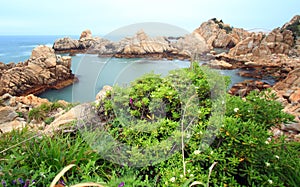 Rocky shore with green leaves foreground