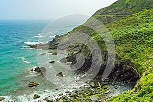 rocky shore with green vegetation. Atlantic coast in Spain, Basque Country. Camino de Santiago