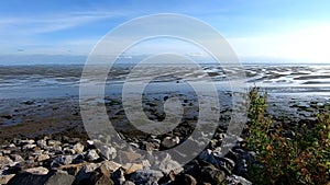 Rocky shore on the island of Ameland