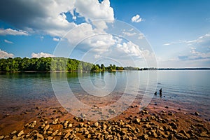 Rocky shore of Lake Norman, at Jetton Park, in Cornelius, North