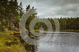 Rocky shore, MetesjÃ¶n lake,Tiveden national park, Sweden