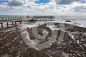 The rocky shore near the pier in Hamelin Pool Marine Nature Reserve in Shark Bay, Western Australia with stromatolites