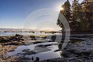 Rocky Shore on the Pacific Ocean Coast. Sunny Sunset. Botanical Beach, Vancouver Island