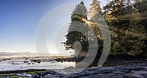 Rocky Shore on the Pacific Ocean Coast. Sunny Sunset. Botanical Beach, Vancouver Island