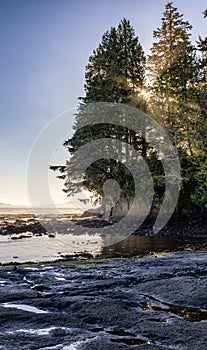 Rocky Shore on the Pacific Ocean Coast. Sunny Sunset. Botanical Beach, Vancouver Island