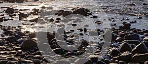 Rocky Shore on the Pacific Ocean Coast. Sunny Sunset. Nature Background