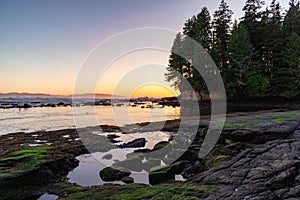 Rocky Shore on the Pacific Ocean Coast. Sunny Sunset. Nature Background