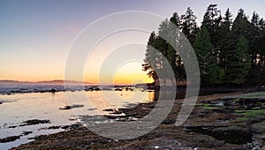 Rocky Shore on the Pacific Ocean Coast. Sunny Sunset. Nature Background