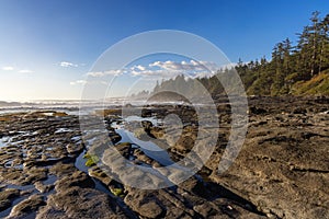 Rocky Shore on the Pacific Ocean Coast. Sunny Sunset. Nature Background