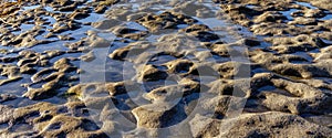 Rocky Shore on the Pacific Ocean Coast. Sunny Sunset. Nature Background