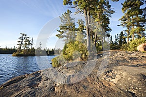 Rocky shore with pine trees on a Boundary Waters lake in Minneso