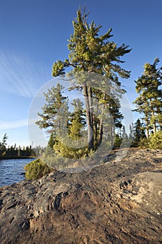 Rocky shore with pine trees on a Boundary Waters lake photo