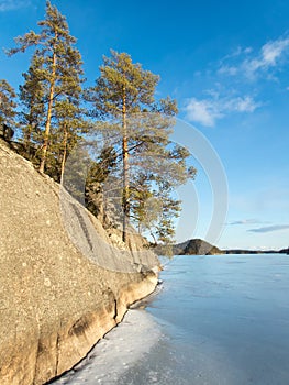 Rocky shore with pine trees by frozen lake