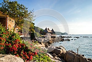 Rocky shore of Sairee beach Koh Tao. Thailand. Large and small boulders are scattered along the shore. Bush with flowers in the