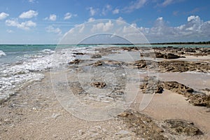 rocky shore on a tropical beach in the Bahamas photo