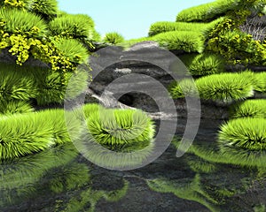 Rocky shore of a tropical lake with lush vegetation