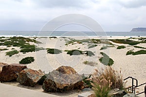 Rocky shore with tufts of seagrass and sunbathers in the distance