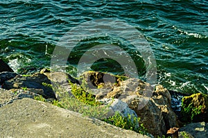 Rocky Shoreline